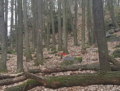 Chaloupka čaroděje Kruciata