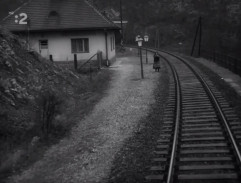 3. Maroško študuje