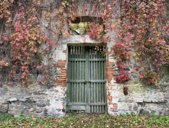 Ondra kouká na řeku