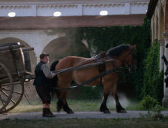 Svatojánský věneček