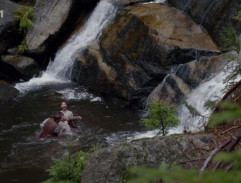 Svatojánský věneček