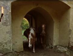 Návrat koní na tvrz