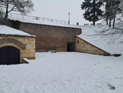 Obsluhoval jsem anglického krále