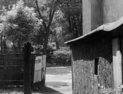 První den mého syna