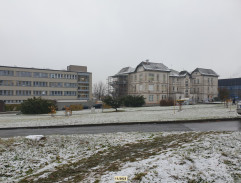 Výslech MUDr. Arpáda