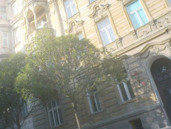 Bydliště Termerových