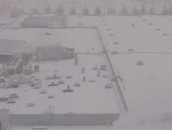 Market z ptačí perspektivy