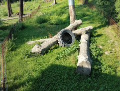 Toman prchá z karantény