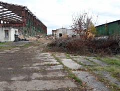 Psí zápasy na statku