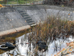 Dohoda o otrávení Brucknerových psů
