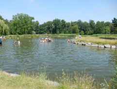 Tobě hrana zvonit nebude