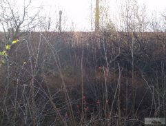 požiar v porcelánke