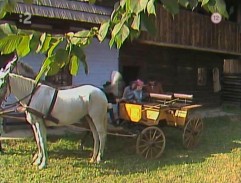 chalupa Ľudkiných rodičov