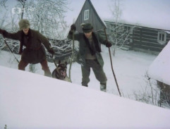 Metelka na lyžích II