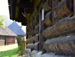 Zbytečné trápení