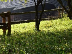 Zbytečné trápení