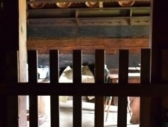 Zbytečné trápení