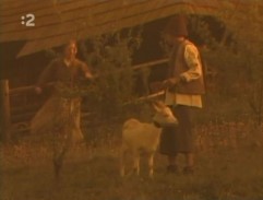 Zbytečné trápení