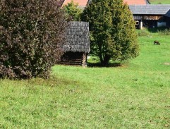 pri kováčovom dome