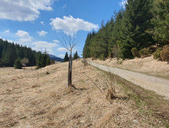 Jánošík - Pravdivá historie