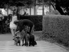 10 pravidel jak sbalit holku