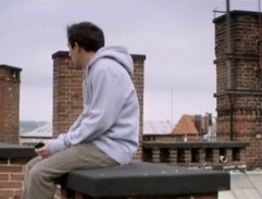 Marek na střeše II