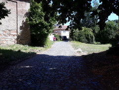 Cesta v Šadově Huti