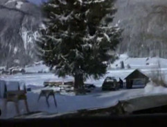 Slepá cesta - rybářská bouda