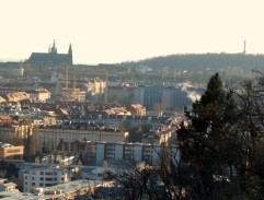 Podvečerní Dejvice