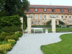 Výslech Ivety Jandovské