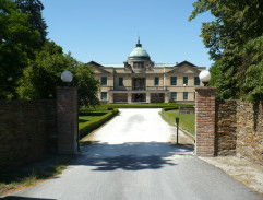 Vila mafiána Salingera