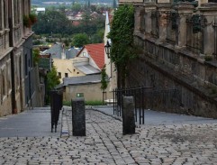 Kamilka na procházce