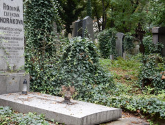 Hrob doktora Löschnera