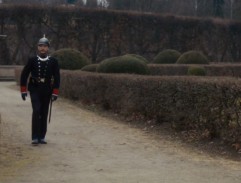 2. Vídeňské líbánky