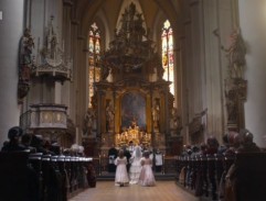 2. Vídeňské líbánky