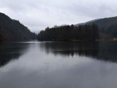 Veterinář na hausbotu