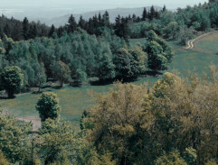 Auto na polní cestě