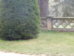 Hovor s doktorem Galettim