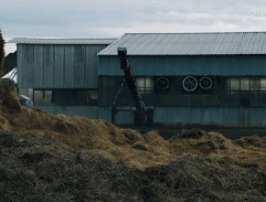 Opuštěný vepřín