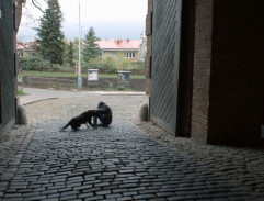 3. Zlíbám tě, až zabiješ