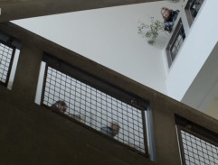 4. Vítěz nejde do finále