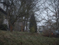 Svědek vozíčkář