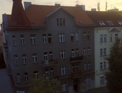 9. Láska je černý kůň