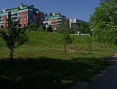 Na Rohanském ostrově