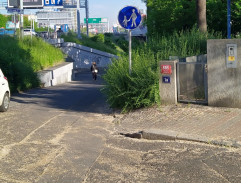 Vražda Sábiny Borové