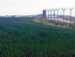 Letiště