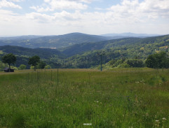 16. Bříza na horách