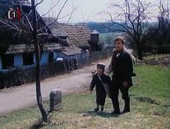 jar v Horní Sněžné