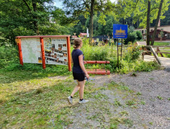 Pějme píseň dohola