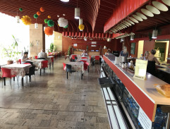 denný bar Biela ruža